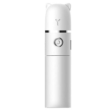 Vapeur pour le visage 1200mah Ventilateur portatif multifonctionnel chargement USB nano spray hydratant humidificateur facial